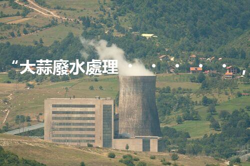 “大蒜廢水處理，綠色環(huán)保新篇章”